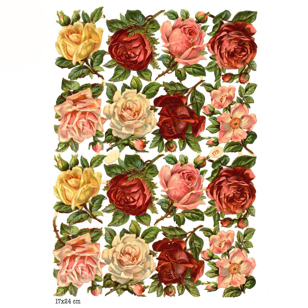 R.Tuck 179 roses.jpg