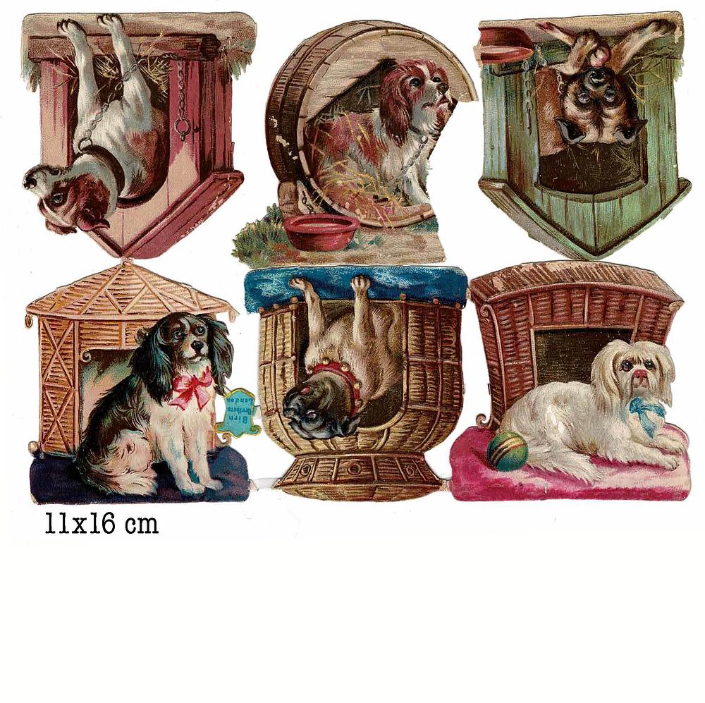 Birn bros dogs in dogs cabin.jpg