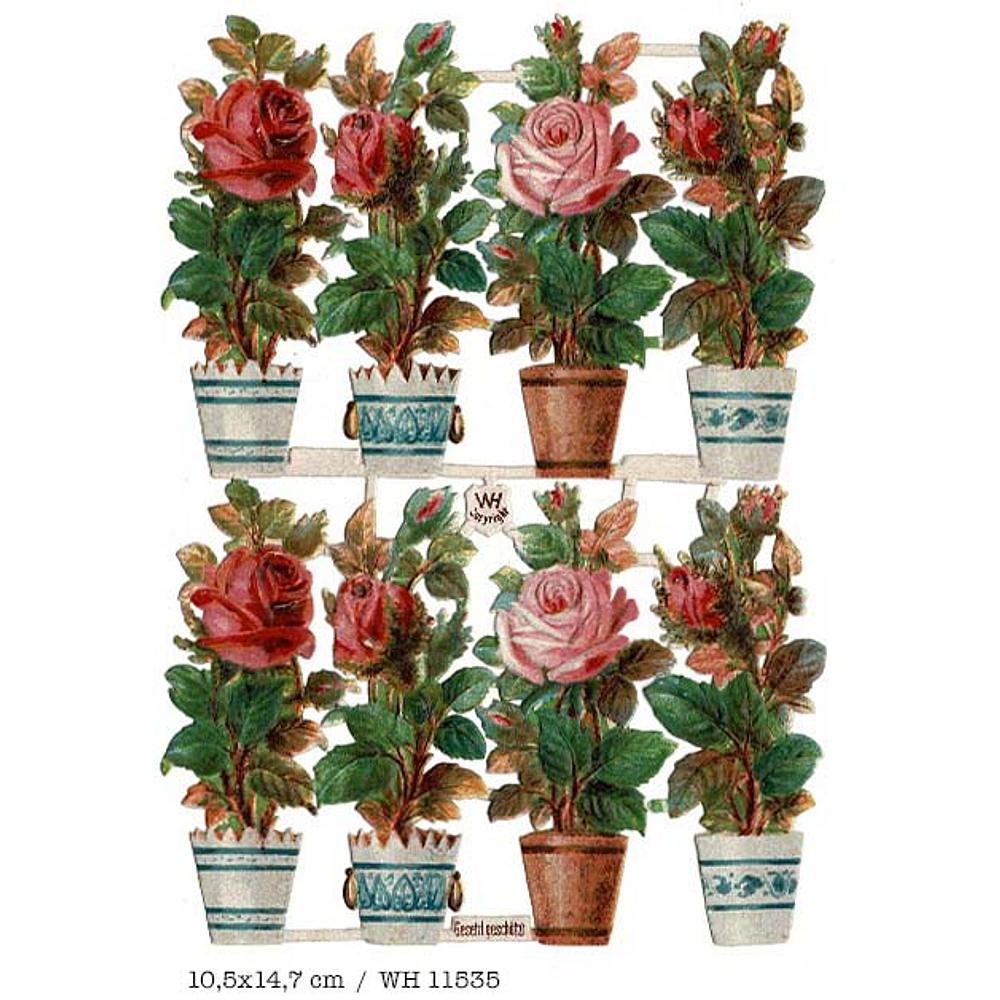 WH 11535 flowers in pots 10.5x14.7 2.jpg
