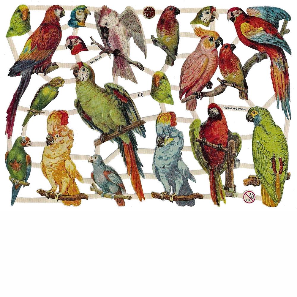 EF 7303 coloured birds.jpg