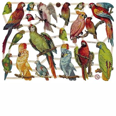 EF 7303 coloured birds.jpg