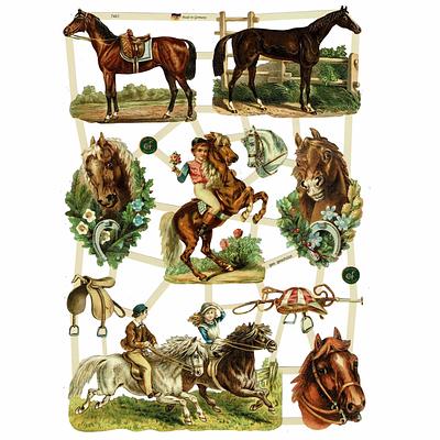 EF 7401 Horses and horseriding.jpg