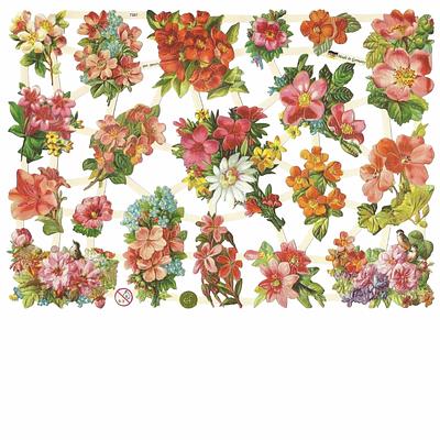 EF 7381 Springtime Colorful Flowers.jpg