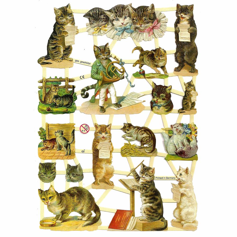 EF 7288 Cats & Kittens Singing.jpg