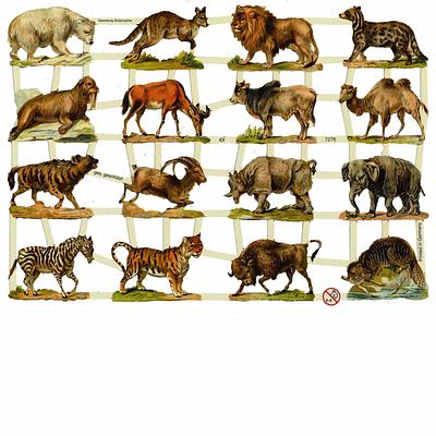 EF 7276 Wild Animals Zebra's, Tigers, Bears.jpg