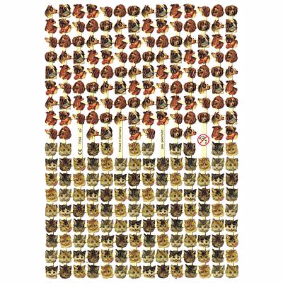 EF 7294 lots of small dogs and cats heads.jpg