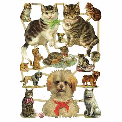 EF 7238 cats and dogs.jpg