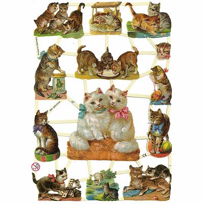 EF 7245 Cats & Kittens Playing.jpg