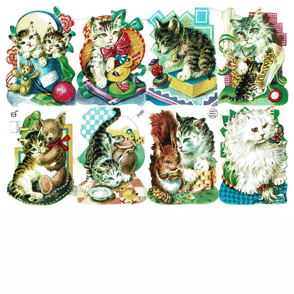 EF 7120 Cats, Kittens & Toys.jpg
