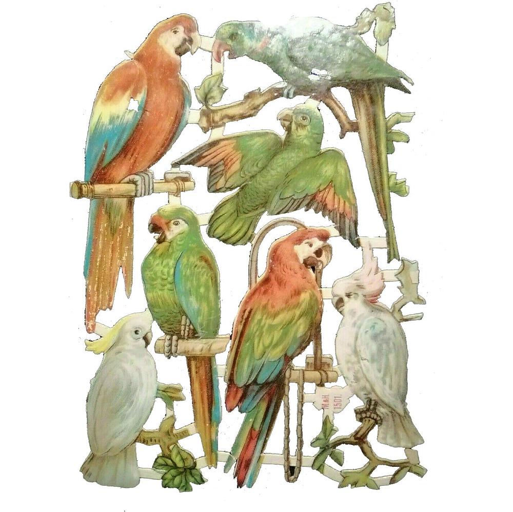 M&H 1501 parrots.jpg