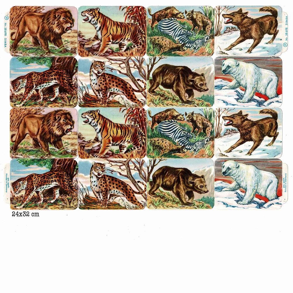 Illert 38698 simba 2.jpg