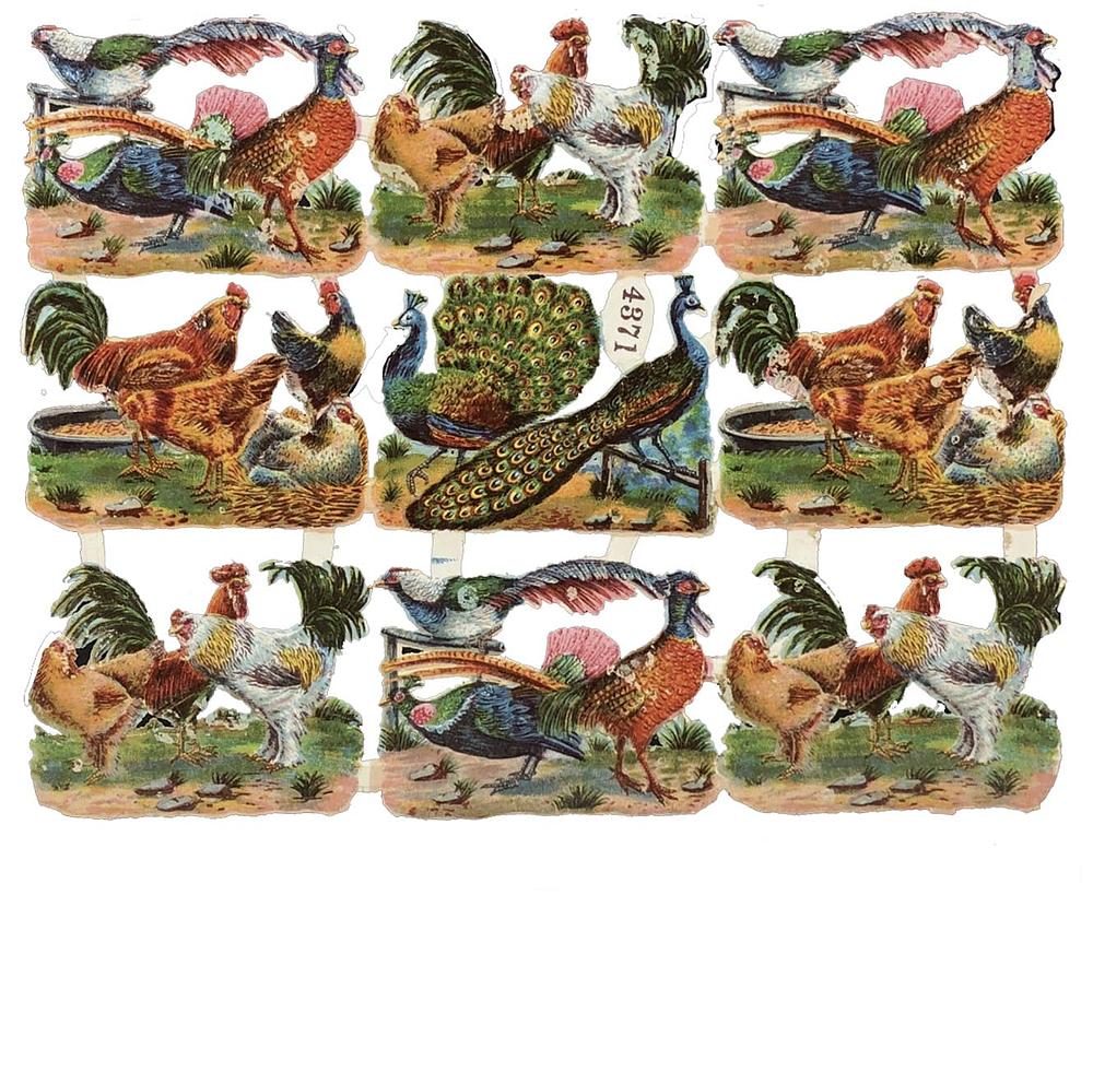 4371 farmanimals.jpg