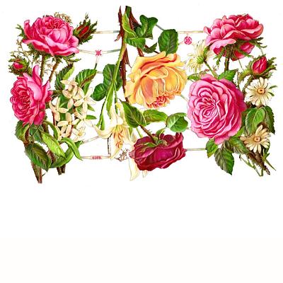 A&M 6169 roses 2.jpg