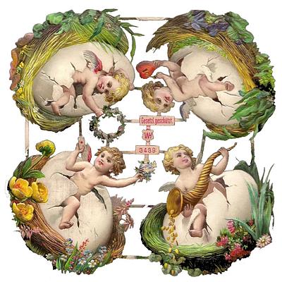 WH 3439 angels eggs 2.jpg