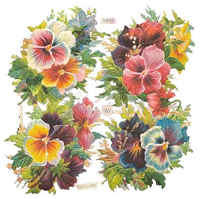 WH 5060 daisies 2.jpg