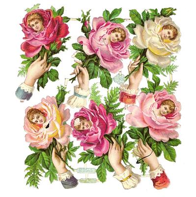 A.Radicke 5545 faces in roses.jpg