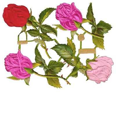 WH 11047 roses 2.jpg