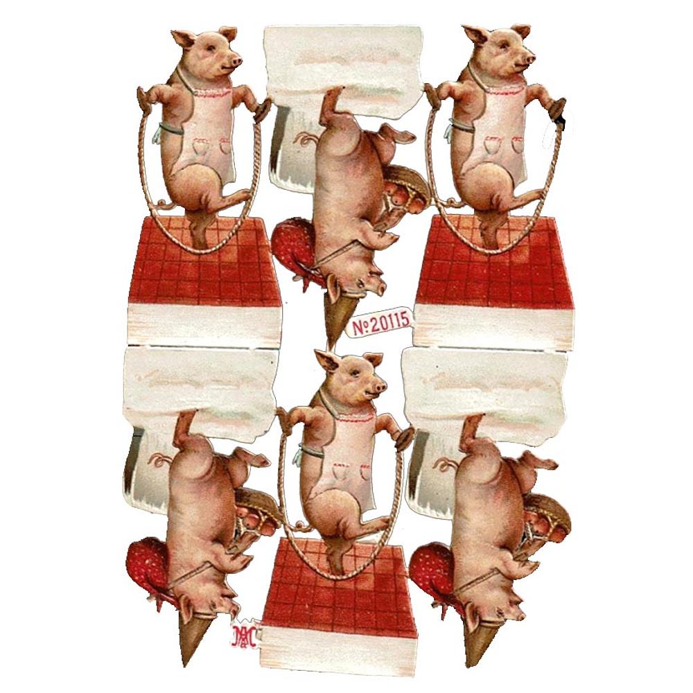 A&M 20115 pigs playing 2.jpg