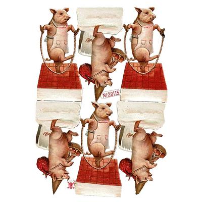 A&M 20115 pigs playing 2.jpg