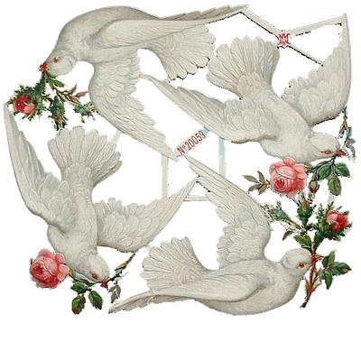 A&M 20059 doves 2.jpg