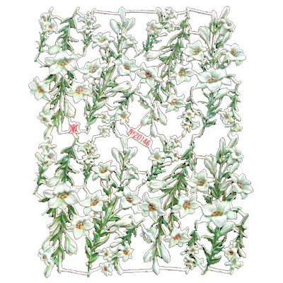 A&M 20146 flowers 2.jpg