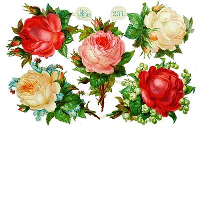 E.B. & Co 237 roses flowers 2.jpg