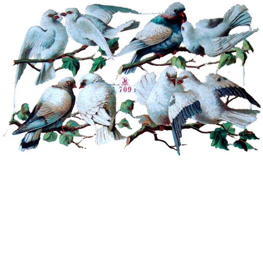 S&S 709 doves 2.jpg