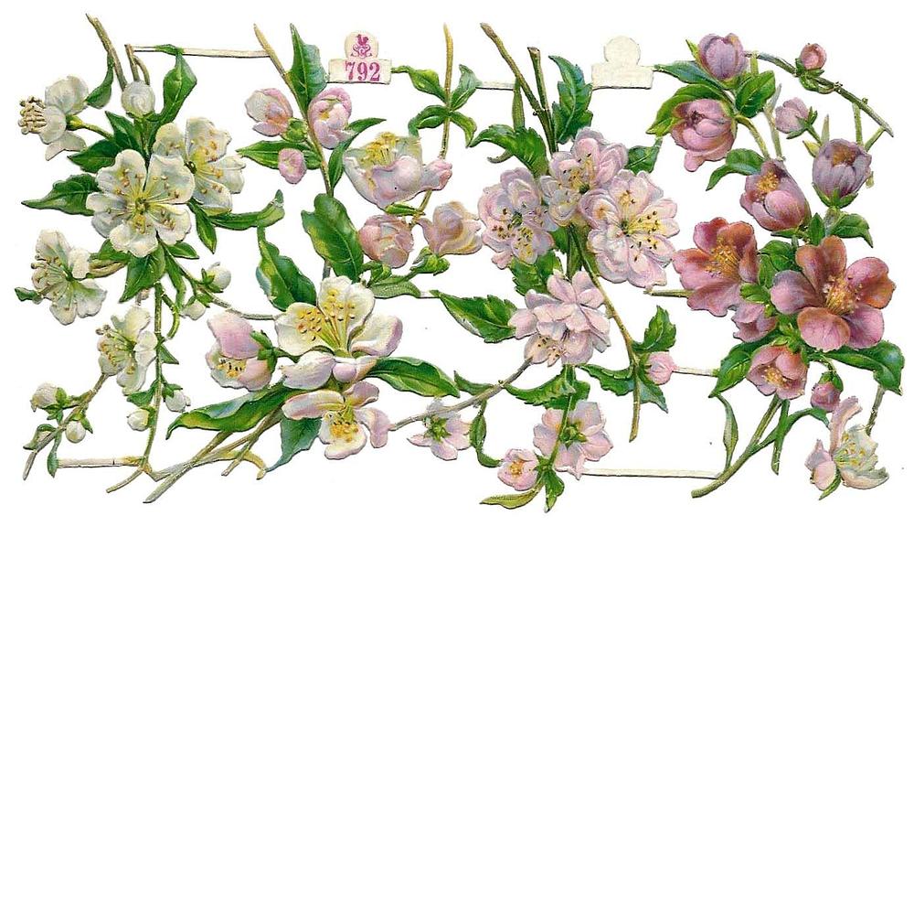 S&S 792 bloS&Som flowers 2.jpg