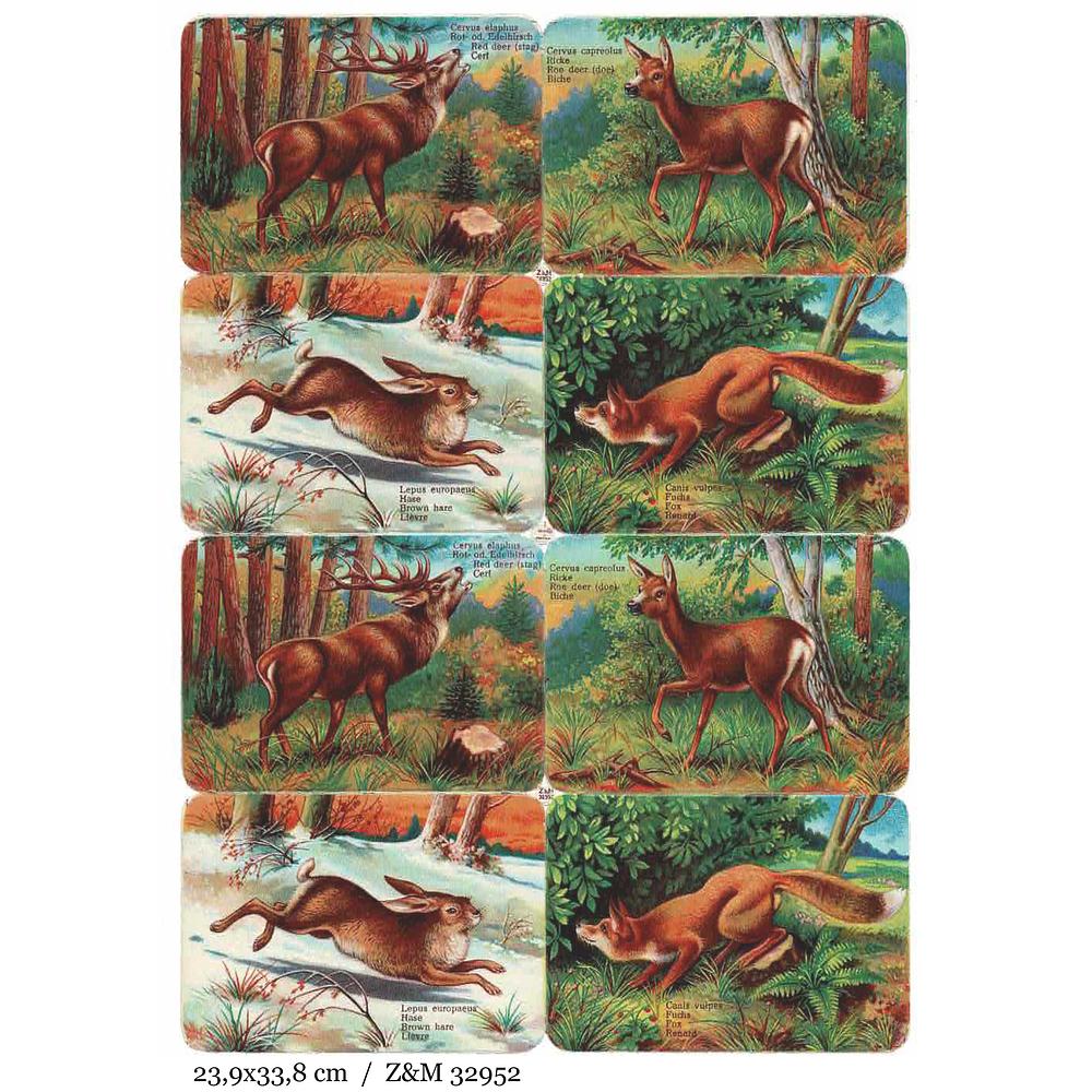 Z&M 32952 animals in the forest.jpg
