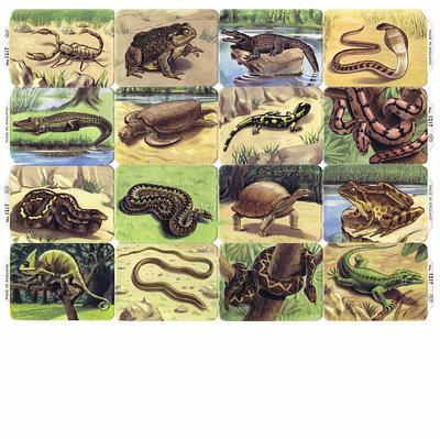 MP 1217 full sheet reptiles.jpg