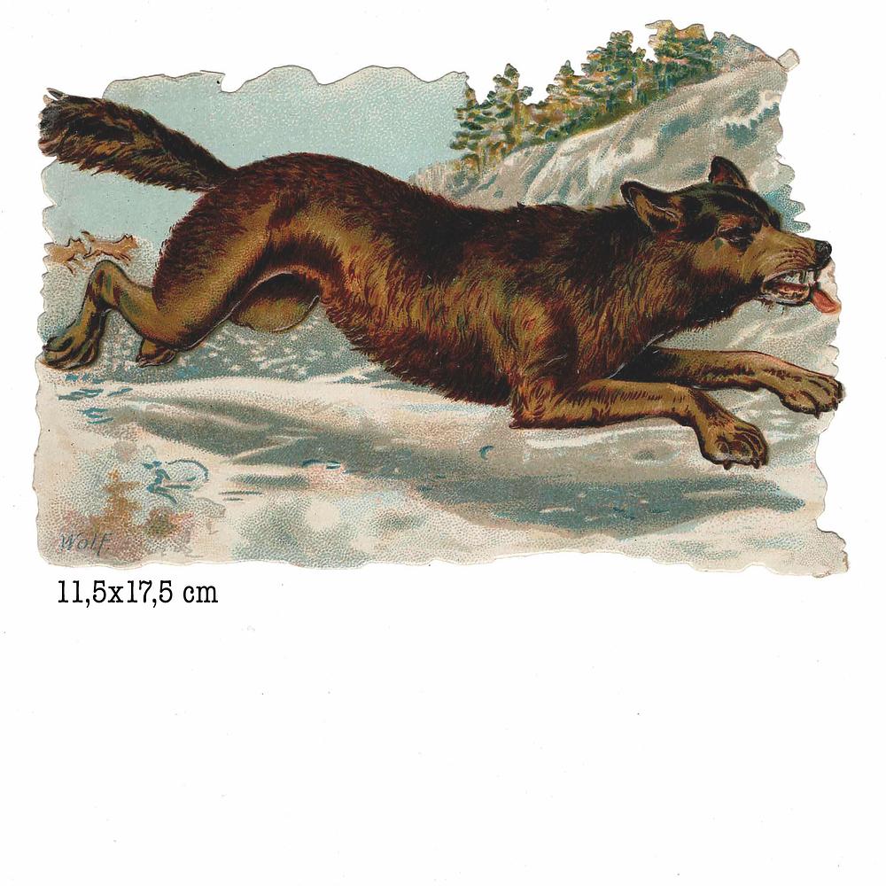 R.Tuck 1125 wolf.jpg