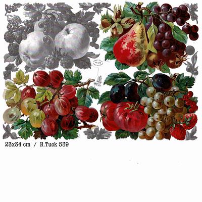 r.tuck fruits 1.jpg