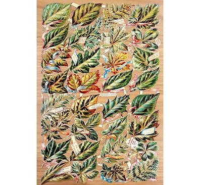 Birn Bros 253 leafs 3.jpg