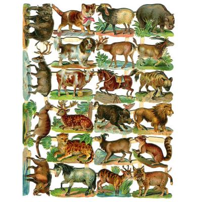 Birn Bros 212 b animals 3.jpg