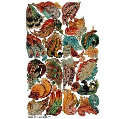Birn Bros 217 colorful feathers 4.jpg