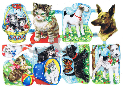 Kruger 98.4 cats and dogs newer sheet.jpg