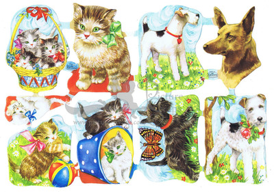 Kruger 98.4 cats and dogs no number no logo.jpg