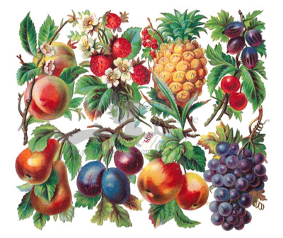 NL 1614 fruits.jpg