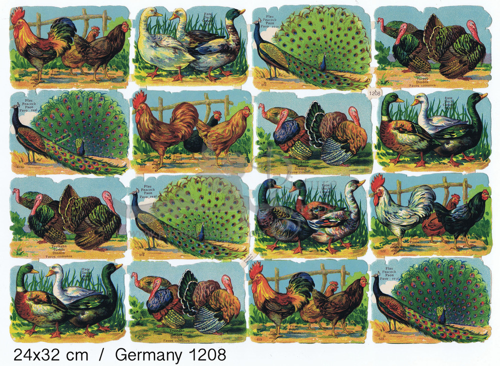 Printed in Germany 1208 farm birds square educational scraps.jpg