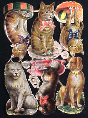 M.Schlesinger 3276 cats and dogs.jpg