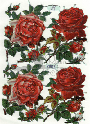 G. 31912 roses.jpg