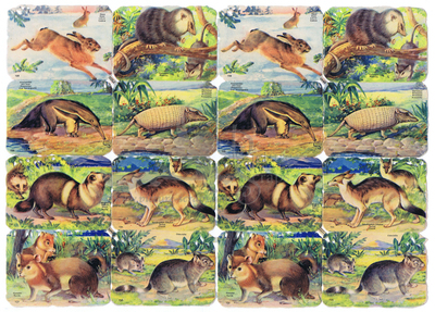 Printed in Germany 1449 forest animals square educational scraps.jpg