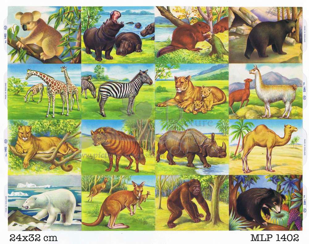 MLP 1402 full sheet wild animals.jpg