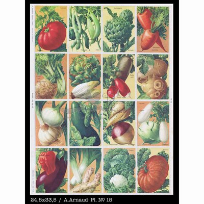 Arnaud 15 vegetables.jpg