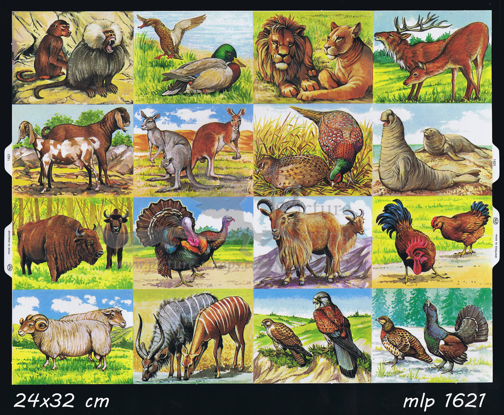 MLP 1621 fullsheet animals.jpg
