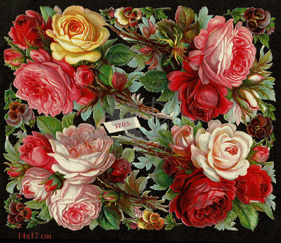 K&B 1705 roses flowers.jpg