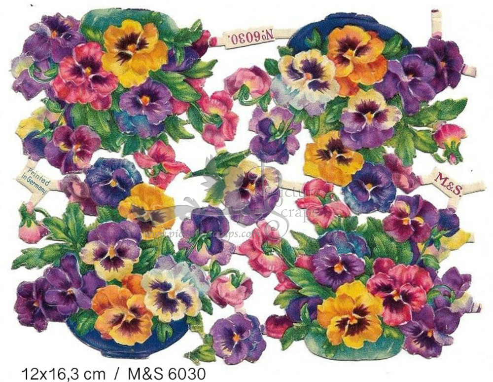 M&S 6030 flowers.jpg