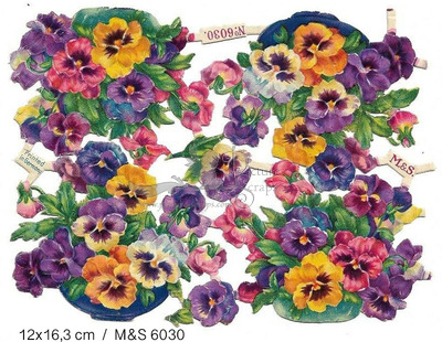 M&S 6030 flowers.jpg