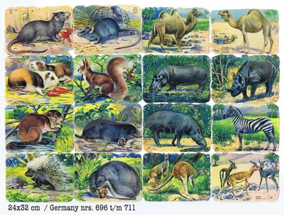 Germany animals square educated scraps.(696-711).jpg