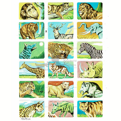edivas 214 wild animals.jpg